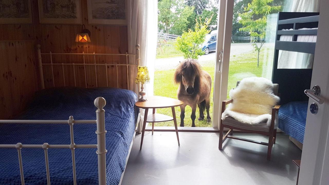 Drengestua Pa Flagstad Ostre